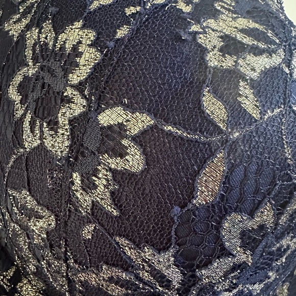 NWOT Victoria's Secret Midnight Floral Lace Bra Size 38D - Picture 7 of 7